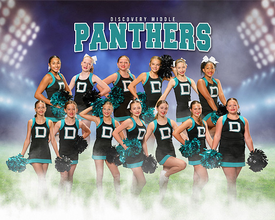 DMS Cheer Group